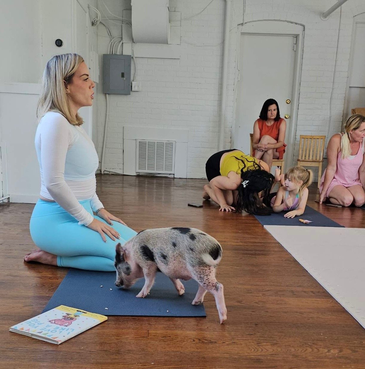 Meditation and wellness