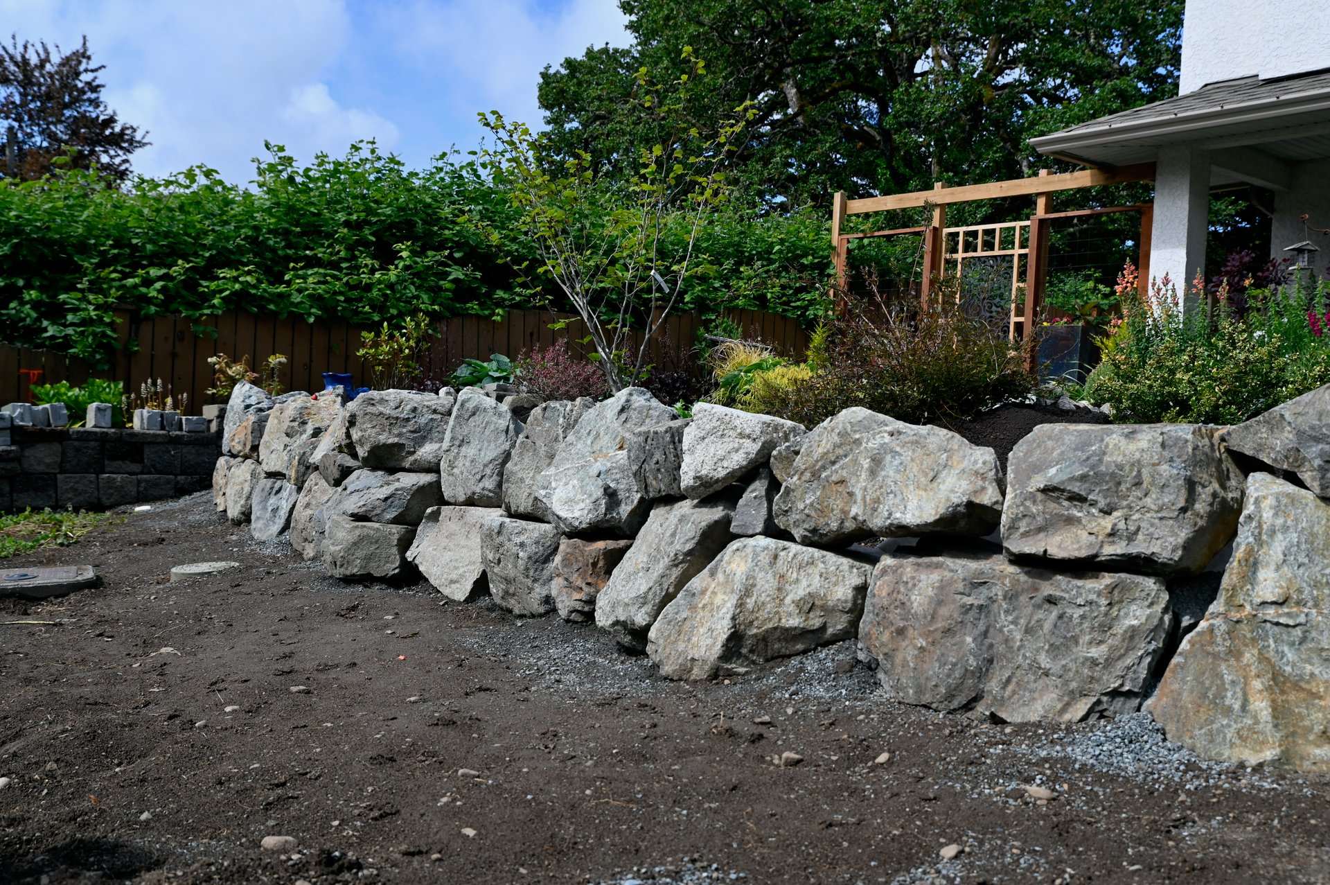 Home and garden landscaping project in progress for complete overhaul of front yard landscape design