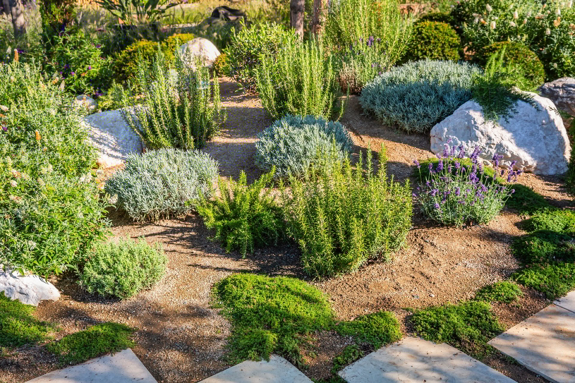 Expert Landscape