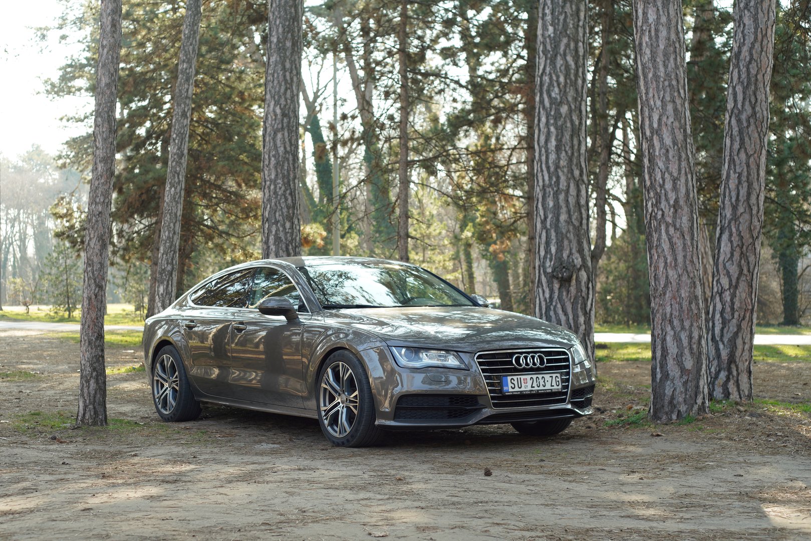 Audi A7 (C7) sedan, gray color, second generation. A sleek luxury vehicle with elegant design and spacious body, parked between trees in a scenic outdoor setting. 04.03.25 Palic, Serbia