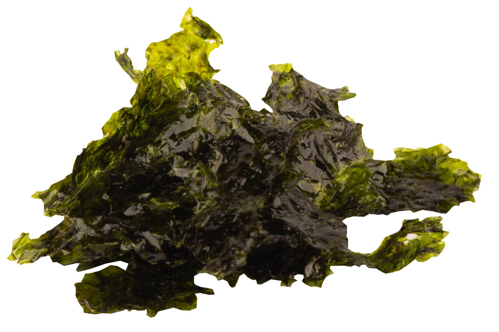 Pila de algas marinas procesadas