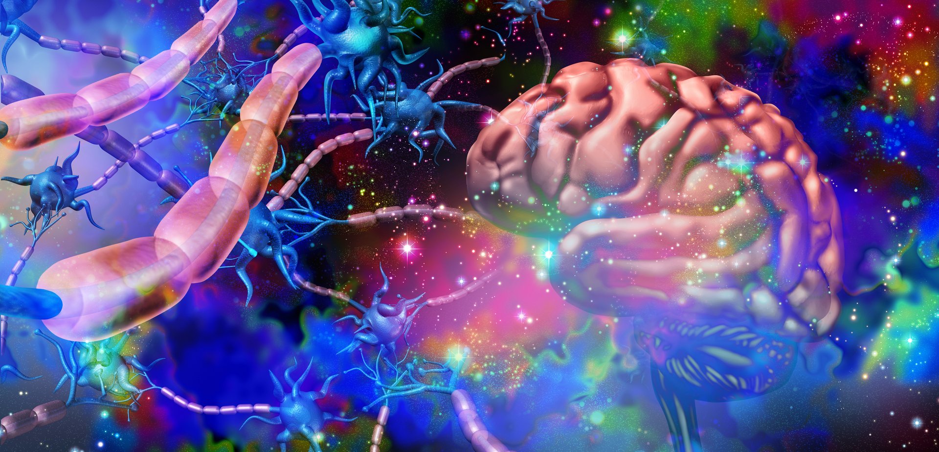 Nervous system neurology and brain nerve cells anatomy concept as human neuron function disorder symbol for multiple sclerosis or alzheimer disease or psychedelics science and with 3D illustration elements.