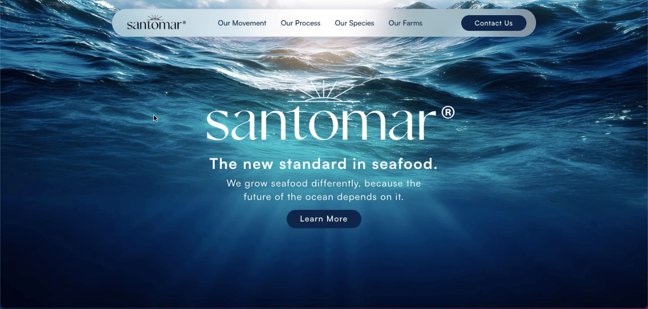 Web Santomar Global 2025