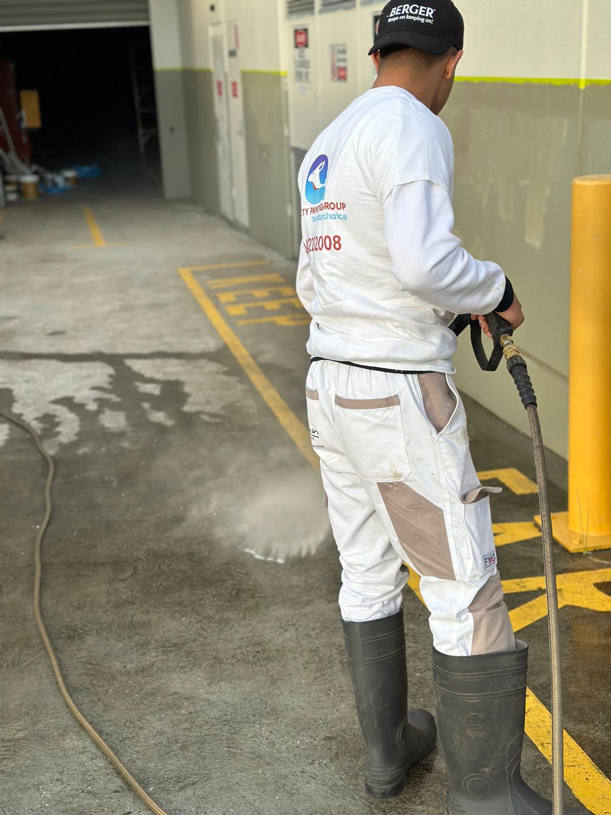 Professional painting services