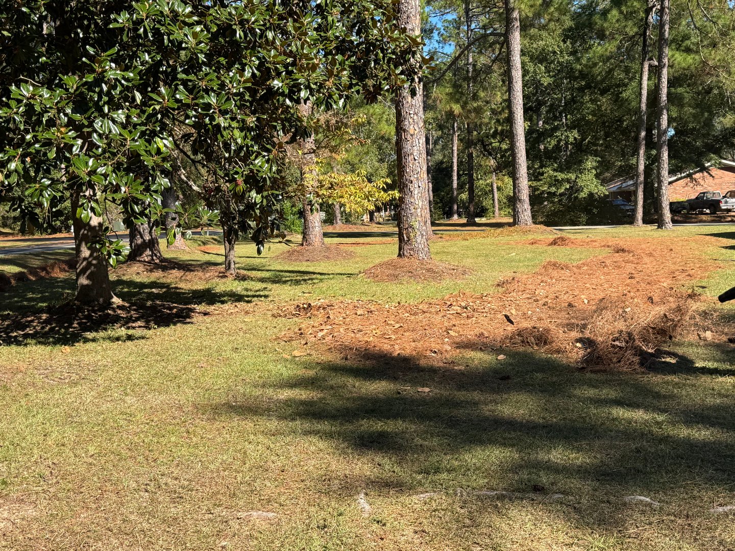 Legacy Lawn Care project showcase