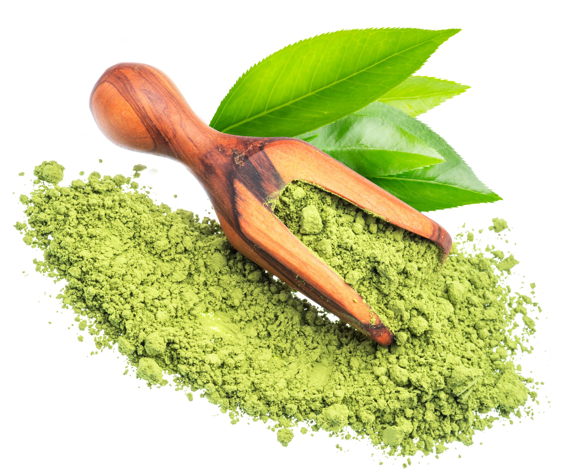 Pile of matcha tea and fresh tea leaves