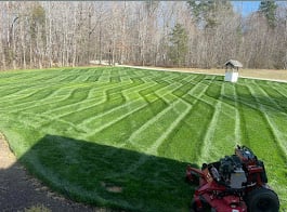 Professional lawn mowing service result