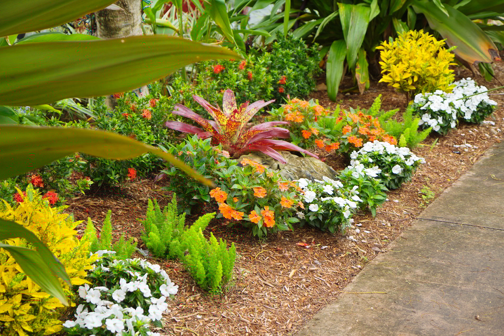 Around the hotel Biltmore many beautiful flower beds and rabatok, decorated very nicely.
