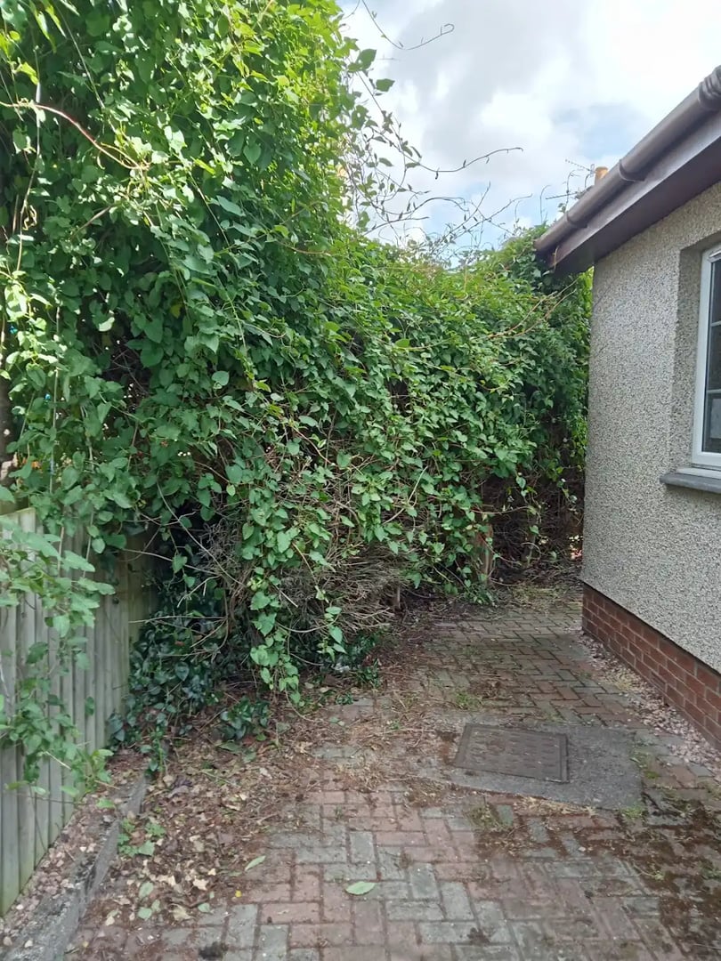 Before maintenance - Project 1