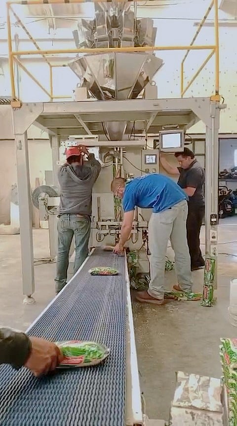 Professional packaging process showing quality packaging services