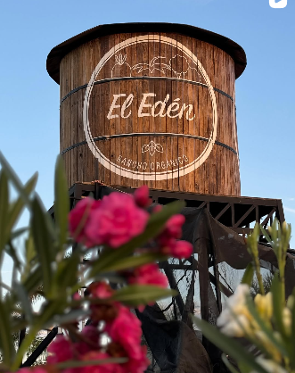 Mercadito en Rancho Orgánico El Edén