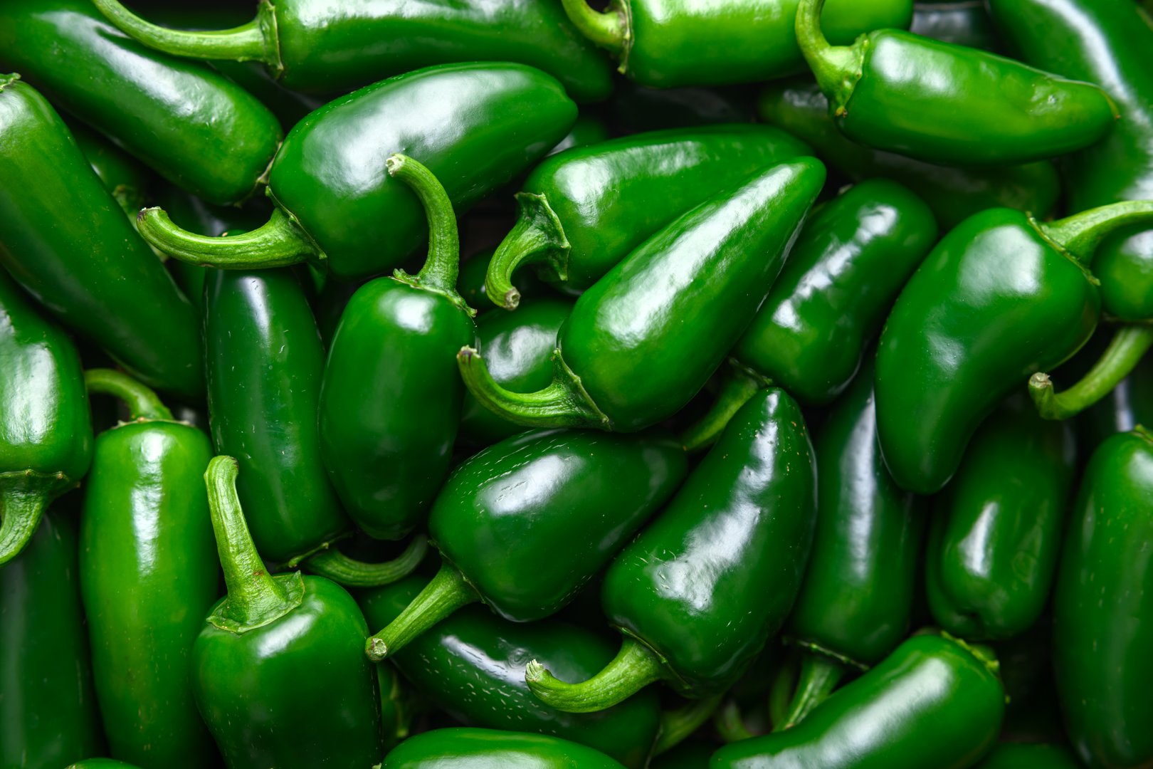 Heap of green mexican jalapeno hot peppers close up. Food photography