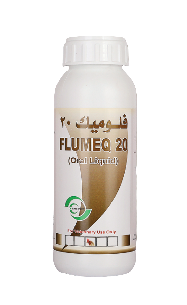 بطل