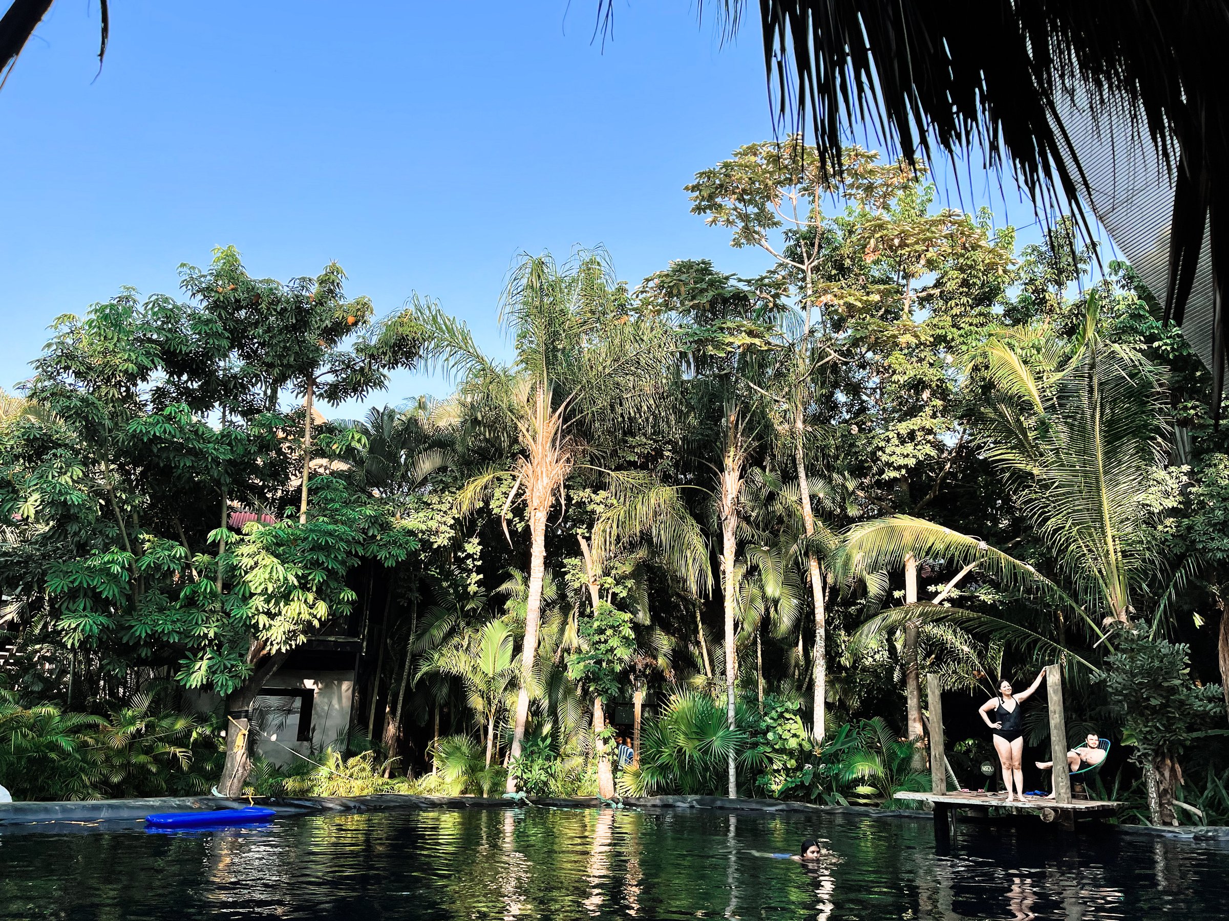 People enjoying a pool surrounded by lush trees and greenery under a clear blue sky.