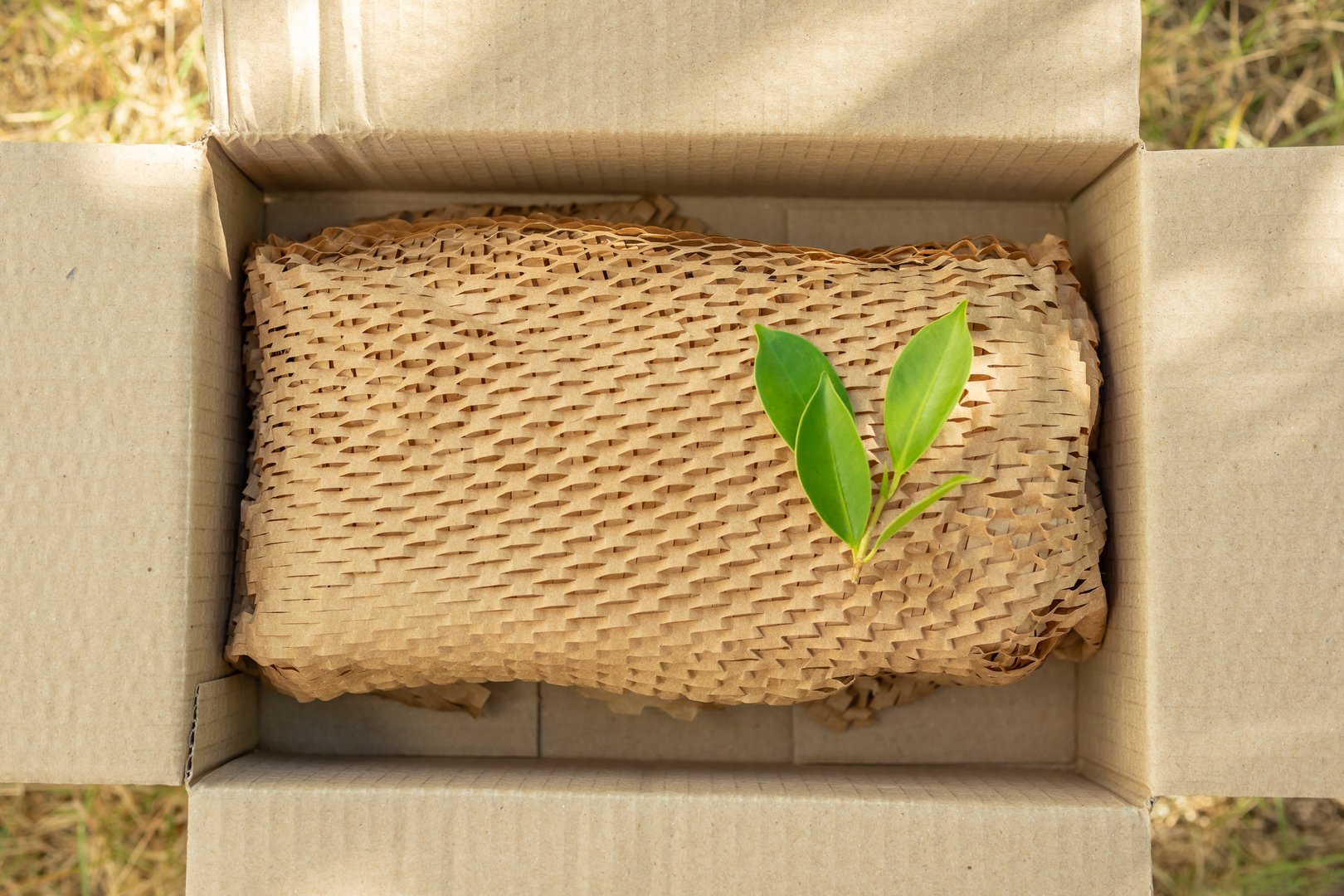 Green leaf on eco friendly brown paper honeycomb wrap for product packaging parcel carton box