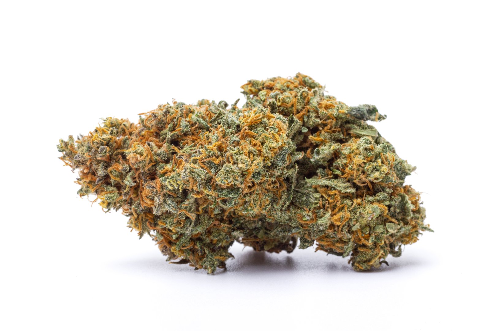 Marijuana flower isolated on white background. Cannabis plant close up.
