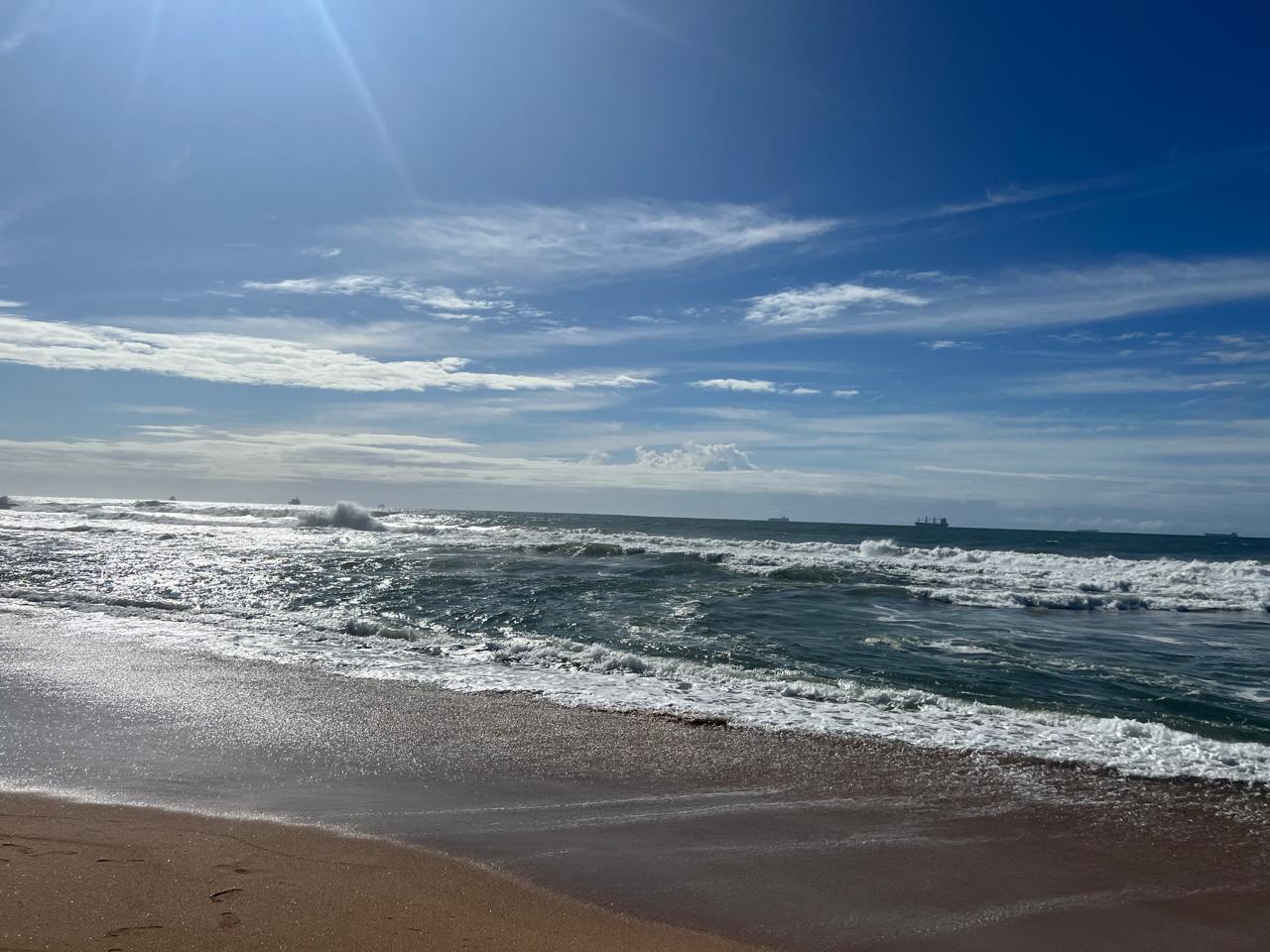 Sunny beach scene with waves crashing on the shore, ships on the horizon, and a clear blue sky.