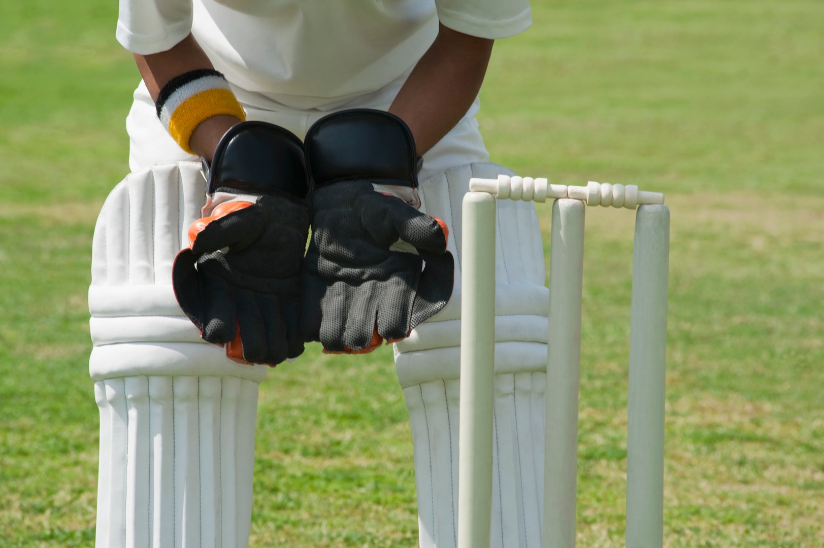 Wicket keeper standing behind stumps