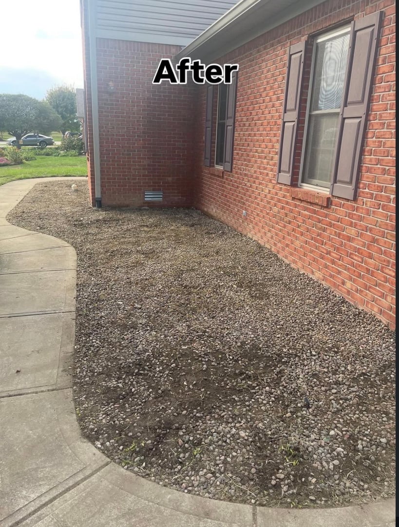 After landscaping transformation