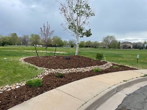 A landscaped garden with mulch and decorative stones around a small tree in a park on a cloudy day.