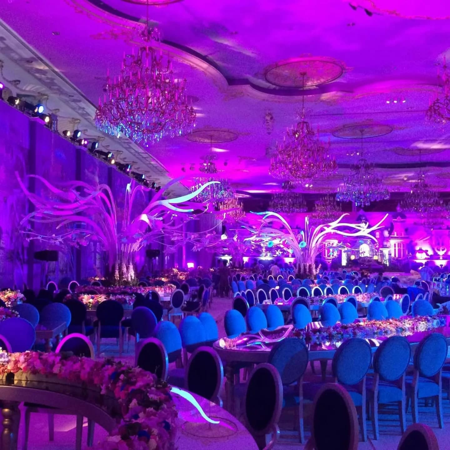 Grand Wedding Showcase