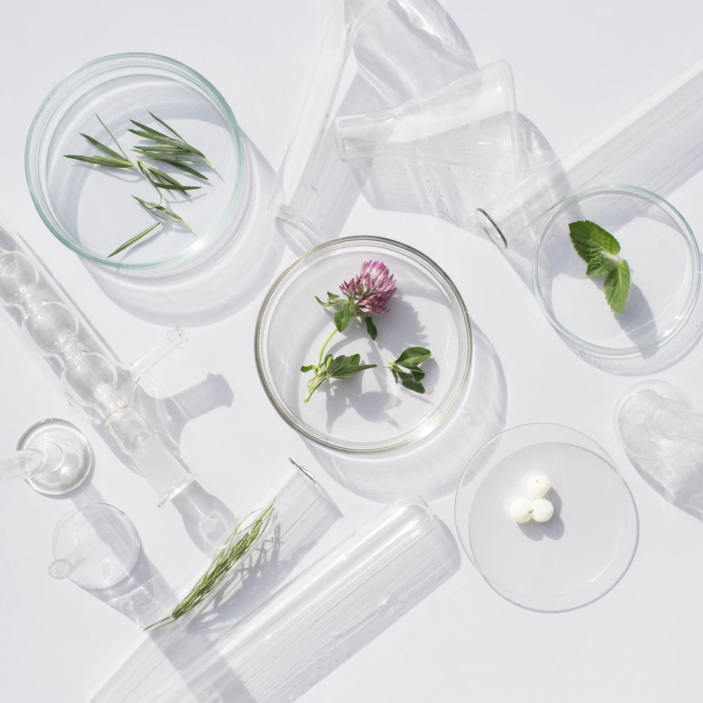 Clean Beauty Redefined