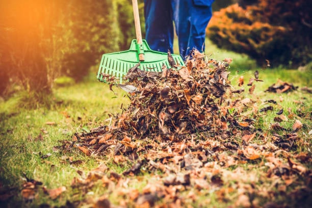 Professional spring and fall cleanup service with debris removal and property preparation