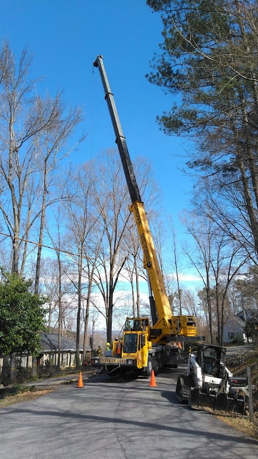 Tree maintenance and care