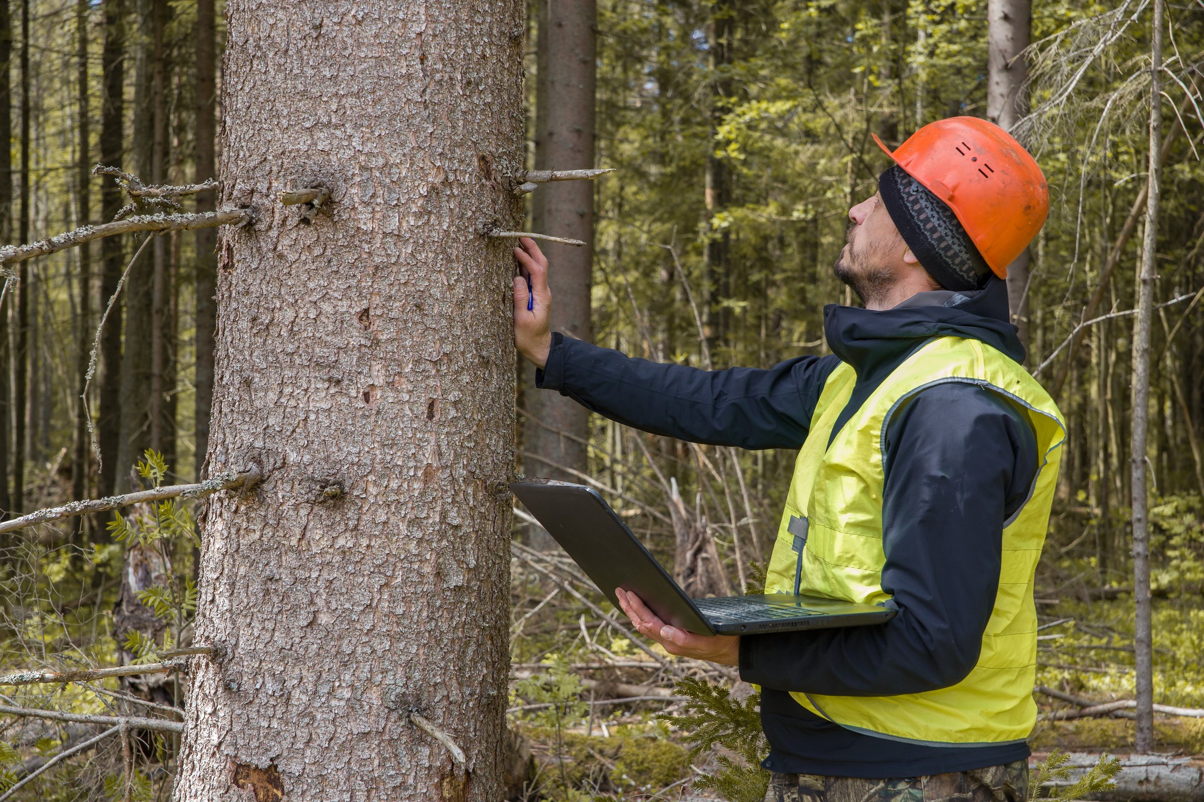 An ecologist works in the forest with a computer. Engineer, male, working.