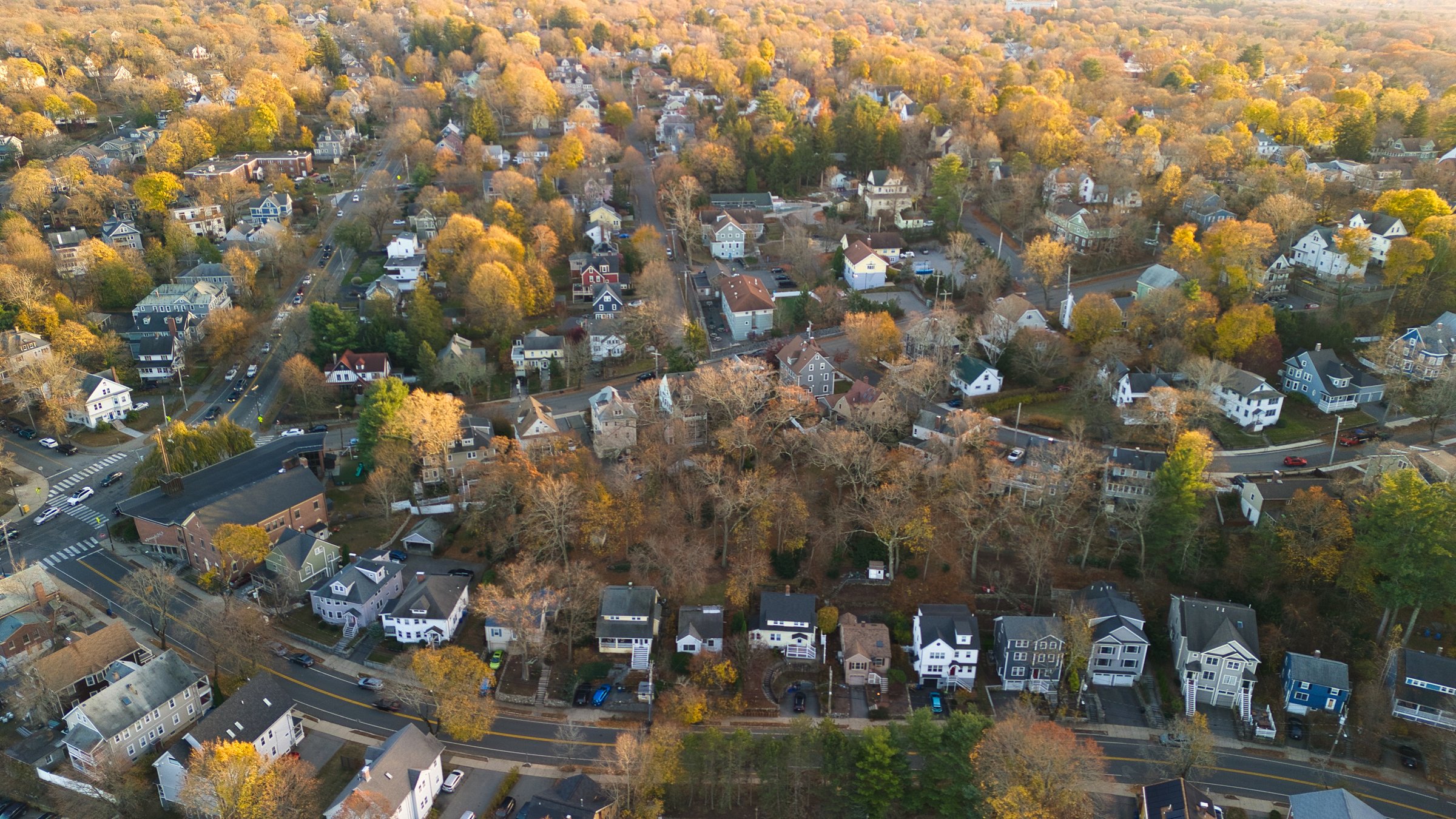 houses and foliage in the evening