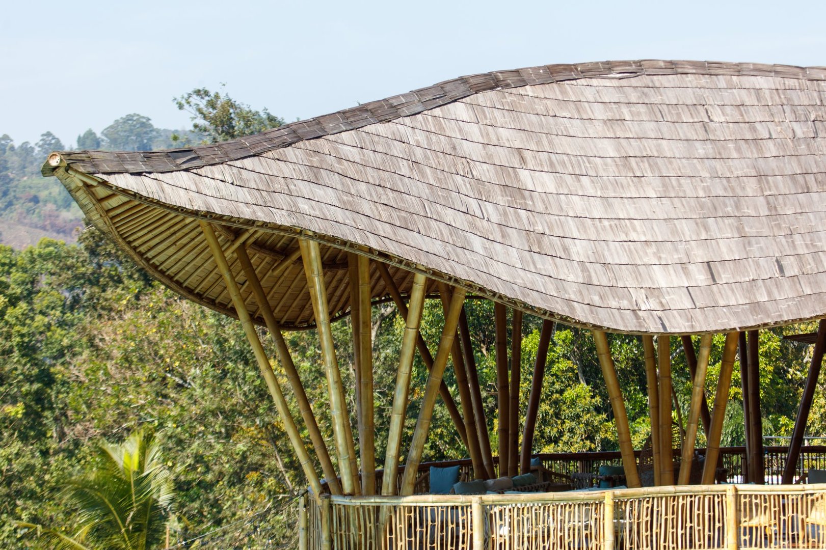 A wooden structure with a curved roof and a bamboo frame. The roof is made of wood and has a curved design. The structure is surrounded by trees and he is a part of a forest