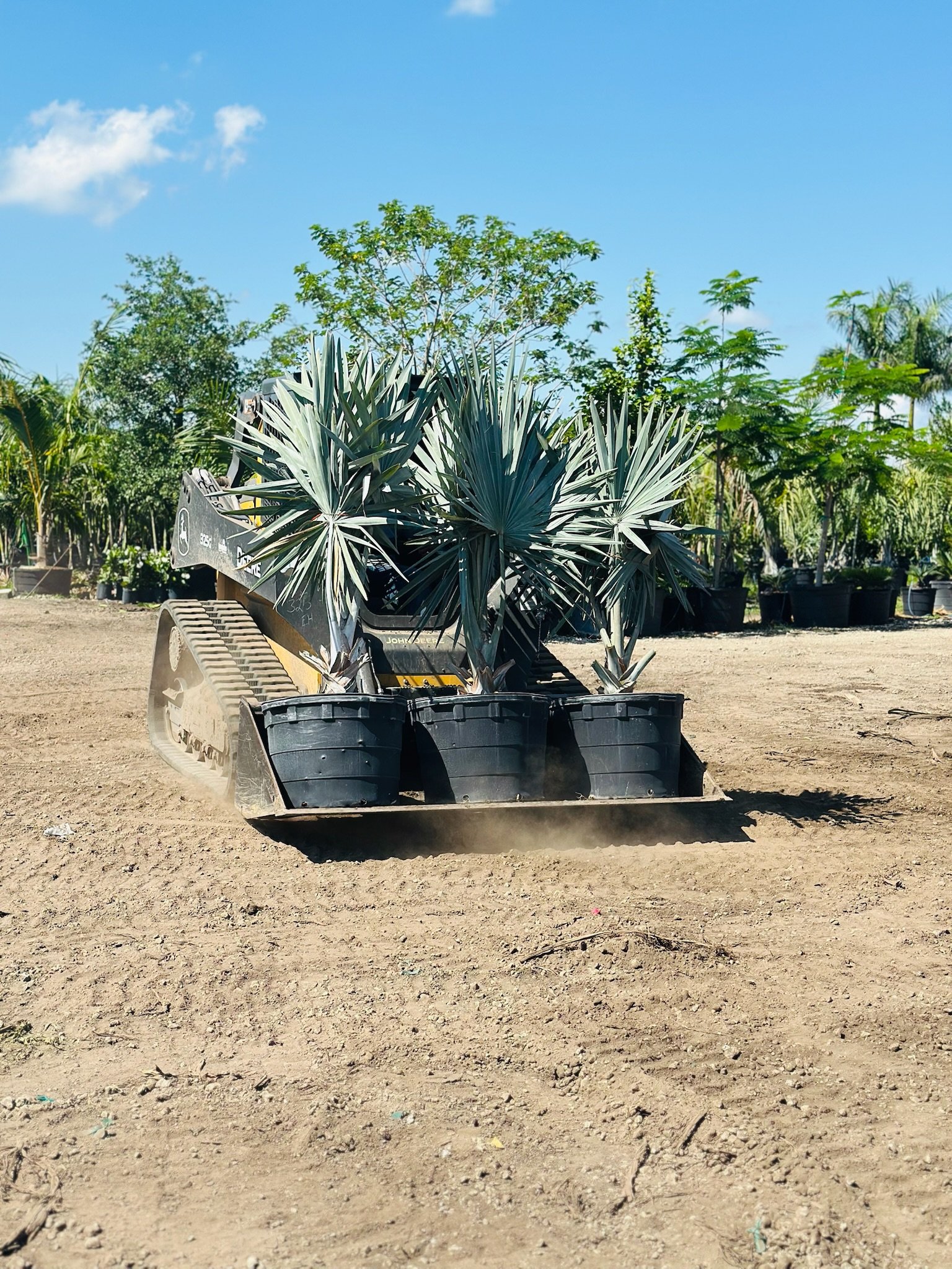 Loading palms for transport