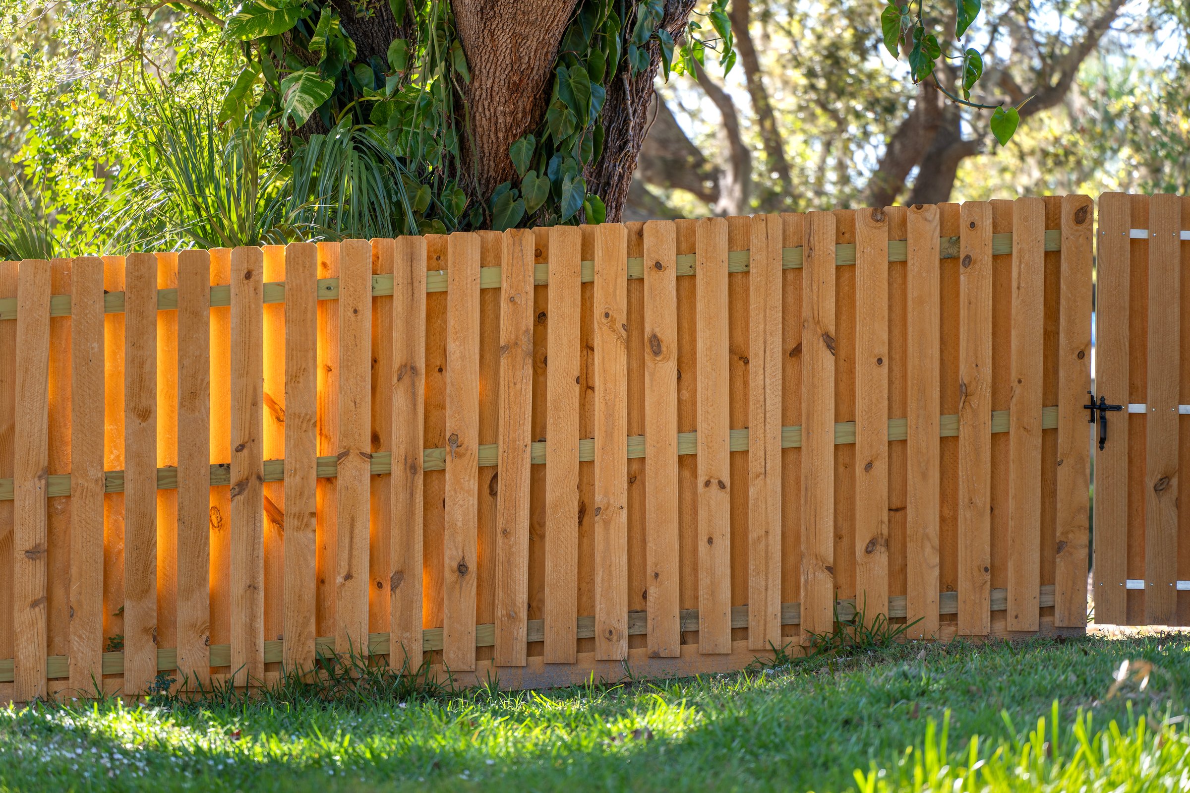 Wooden plank fence in Florida backyard. Timber fencing for grounds protection and privacy.
