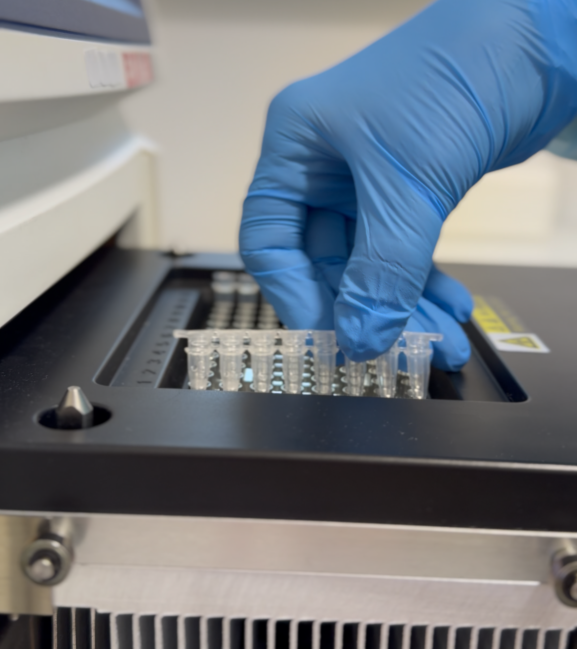 Point Lab laboratorija