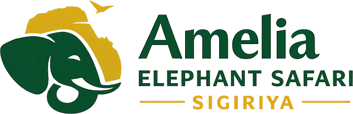Amelia Elephant Safari Sigiriya