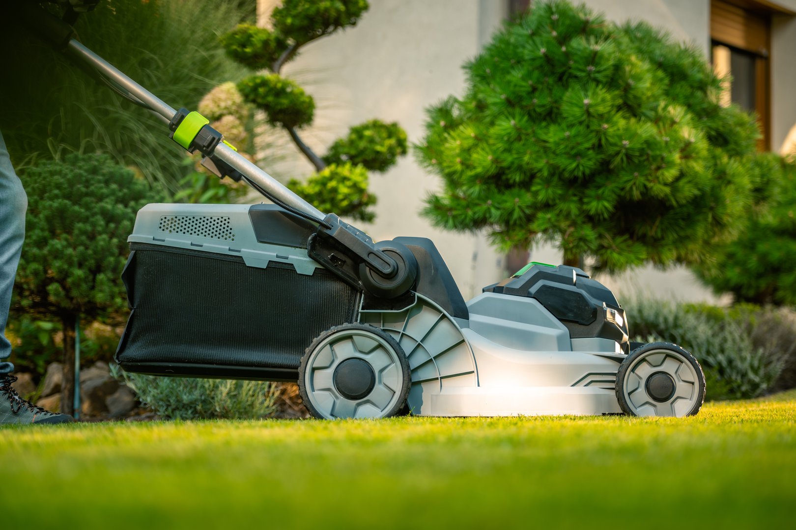 A homeowner trims the grass using an electric mower in a well-maintained garden filled with green foliage during daylight hours.