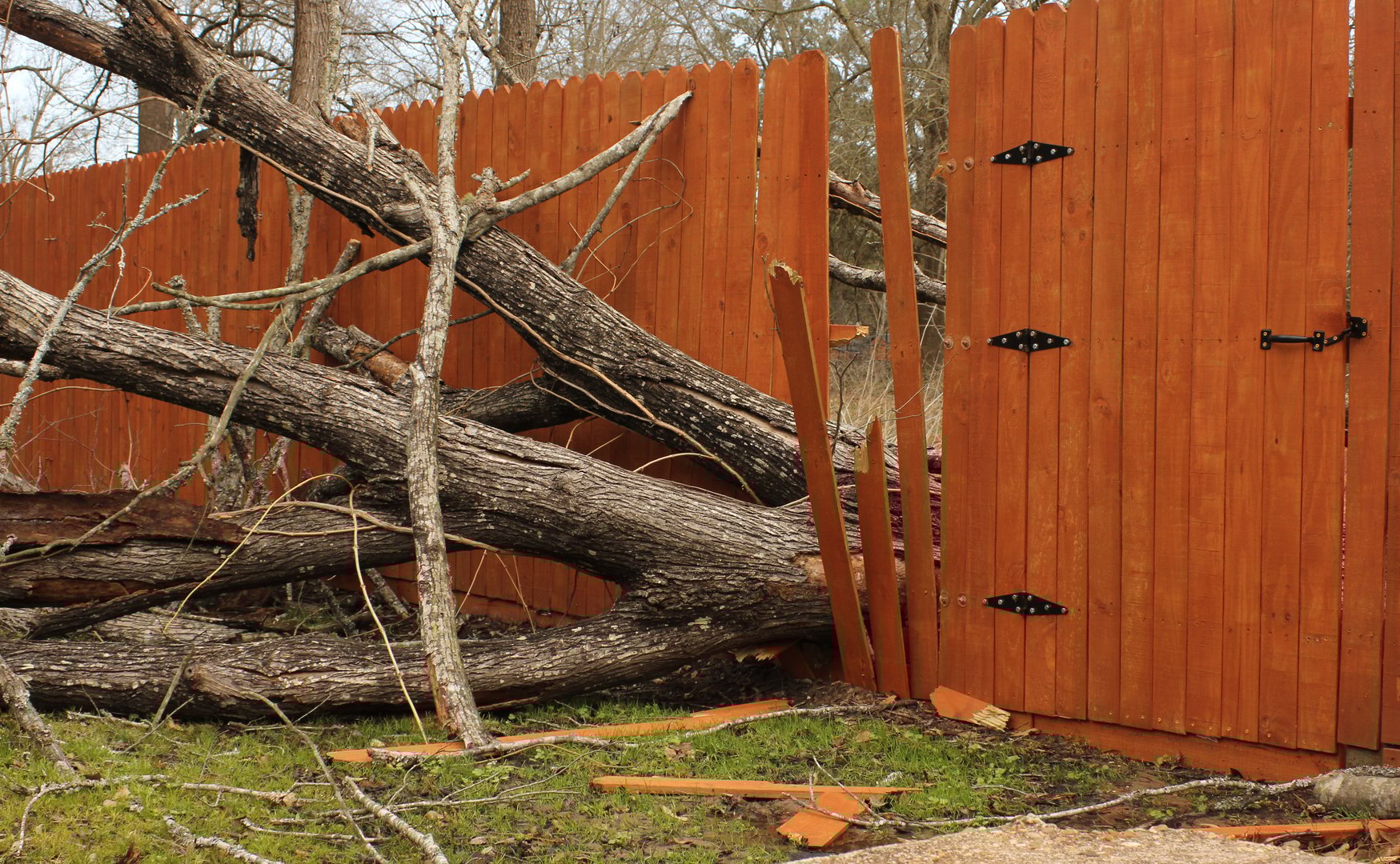 Fence Damaged From Tree Falling During Rain Storm