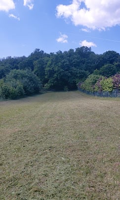 Europak promet projekt 5