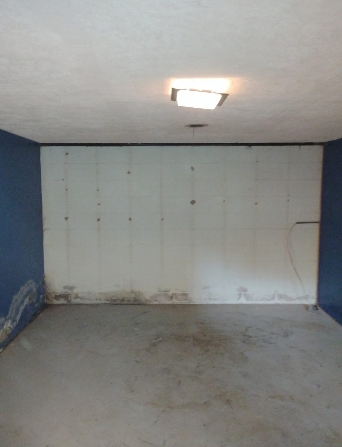 Professional junk hauling