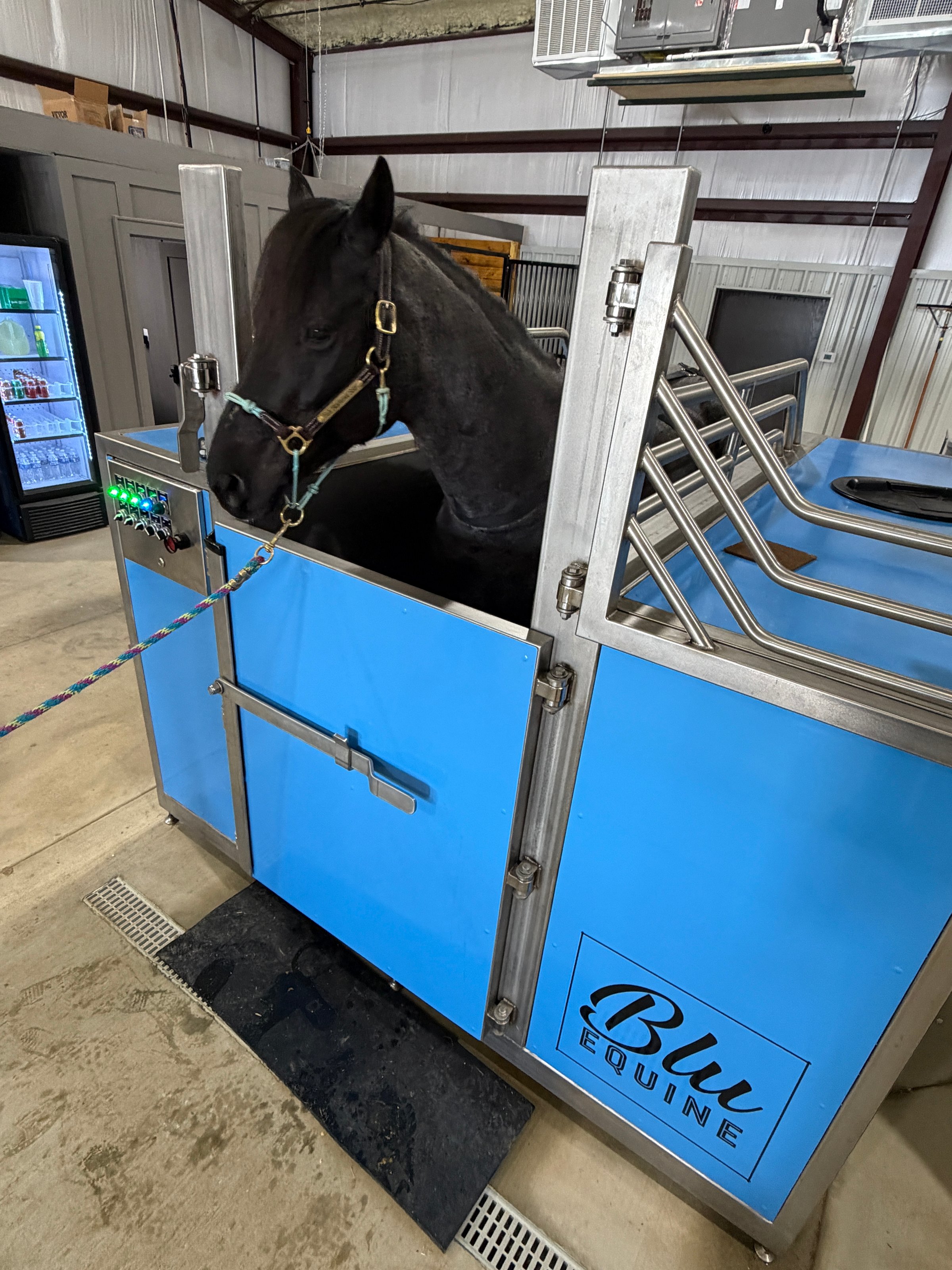 Blu Equine Cold Spa Therapy