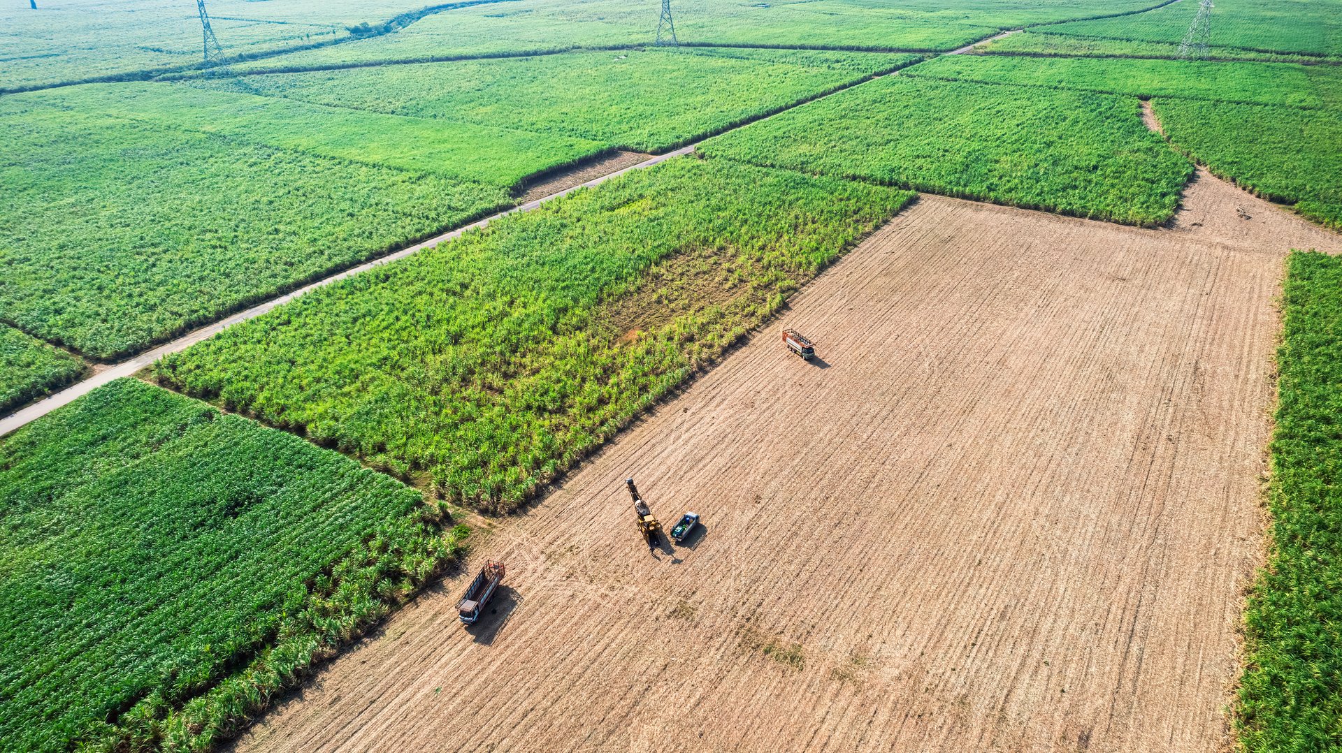 Aerial view of sugarcane harvester harvesting with truck amidsts sugarcane plantation on agricultural area in countryside