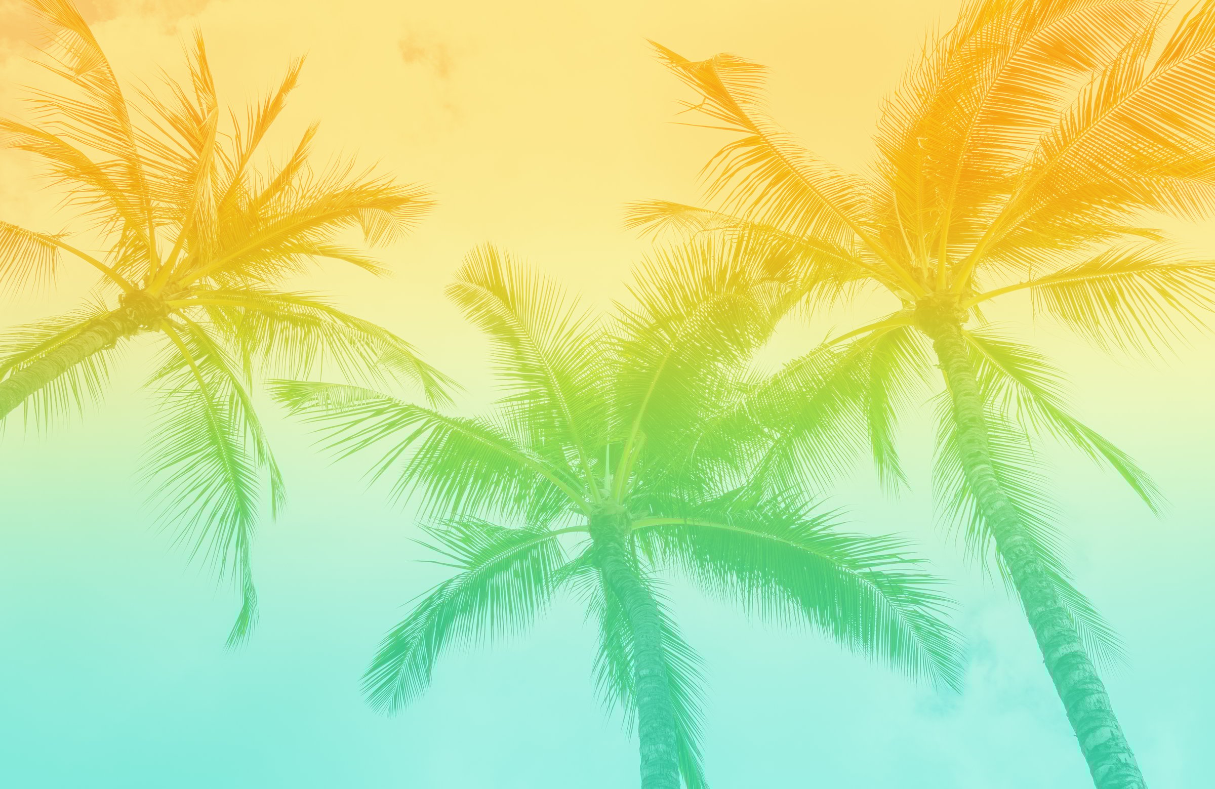 Tropical Palm Trees with vintage retro tones. Beach Vibe background