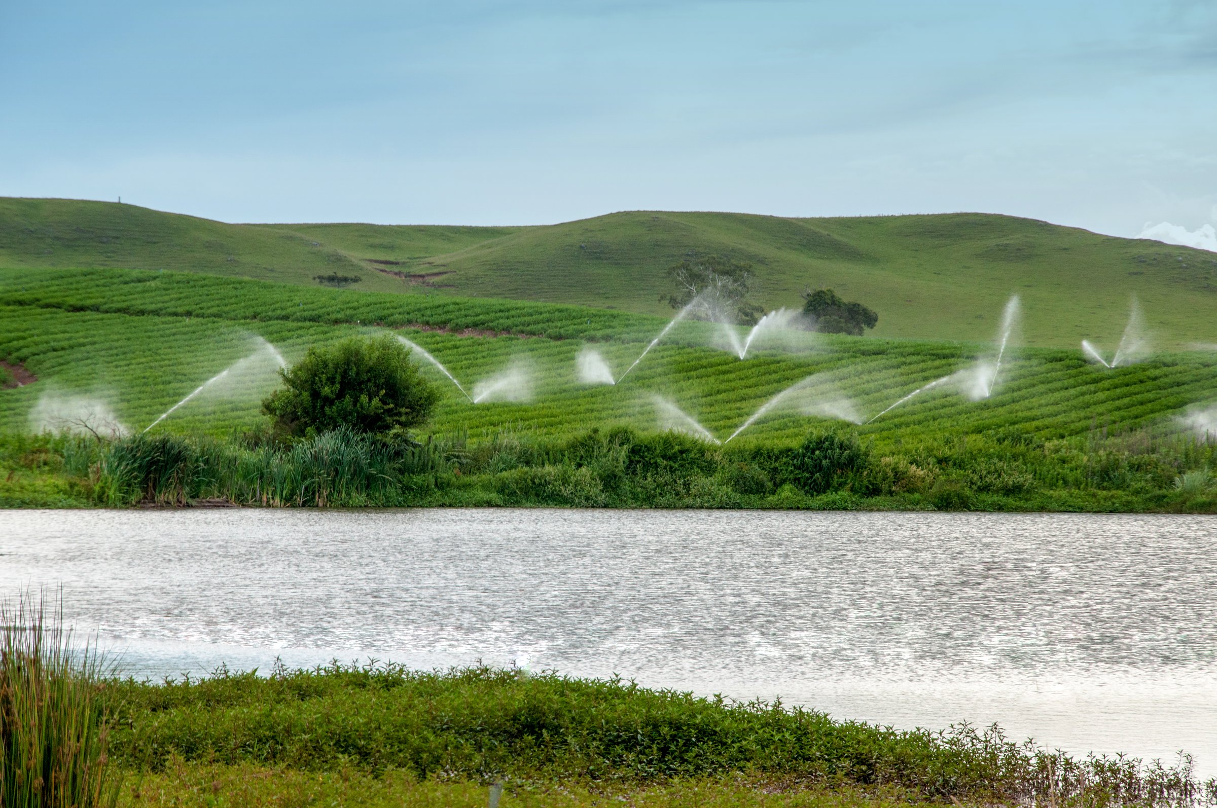 Sprinklers watering soybean crops in Brazil