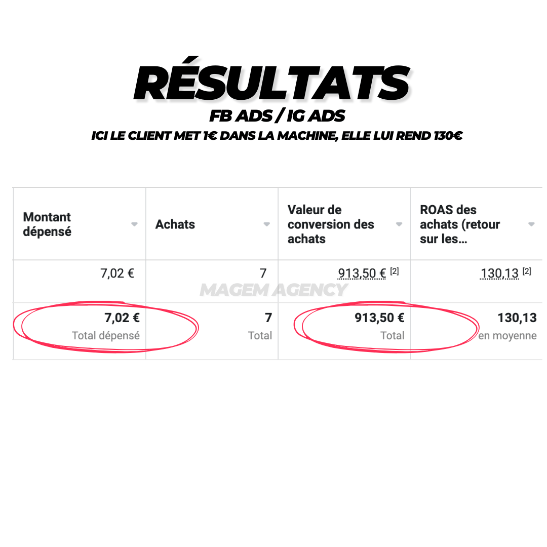 TikTok Ads Results - 10 000€ Revenue