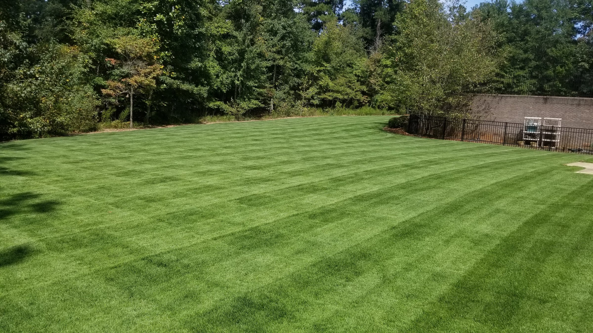 Professional lawn care and maintenance service