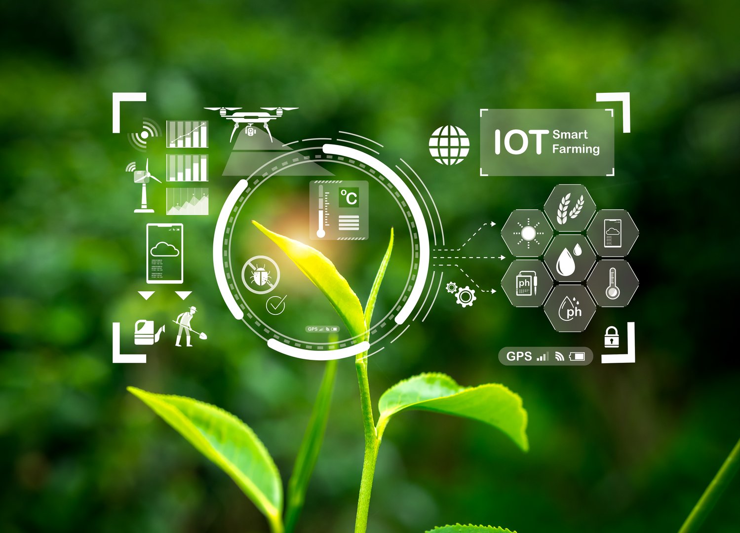 Smart farming agricultural transformation technology concept. Digital cyber display of IOT element icons appear on organic green tea leaves on cultivated agricultural farm background, digital farm.
