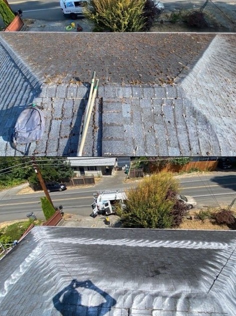 Professional cleaning service by Nicholson's Cleaning