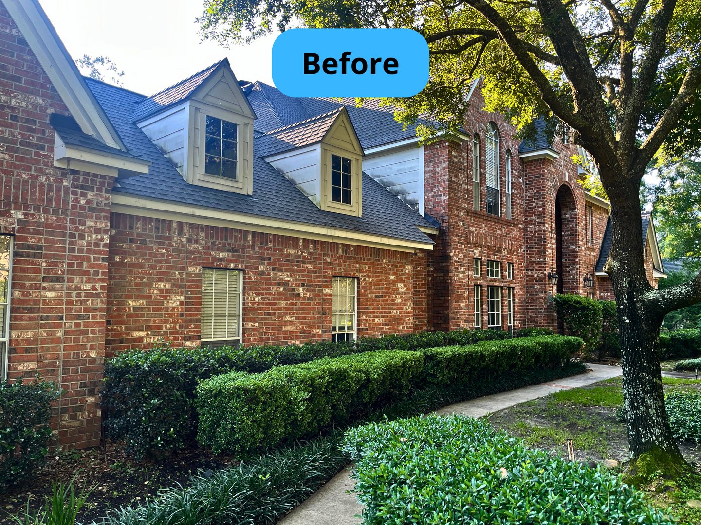 Before house washing