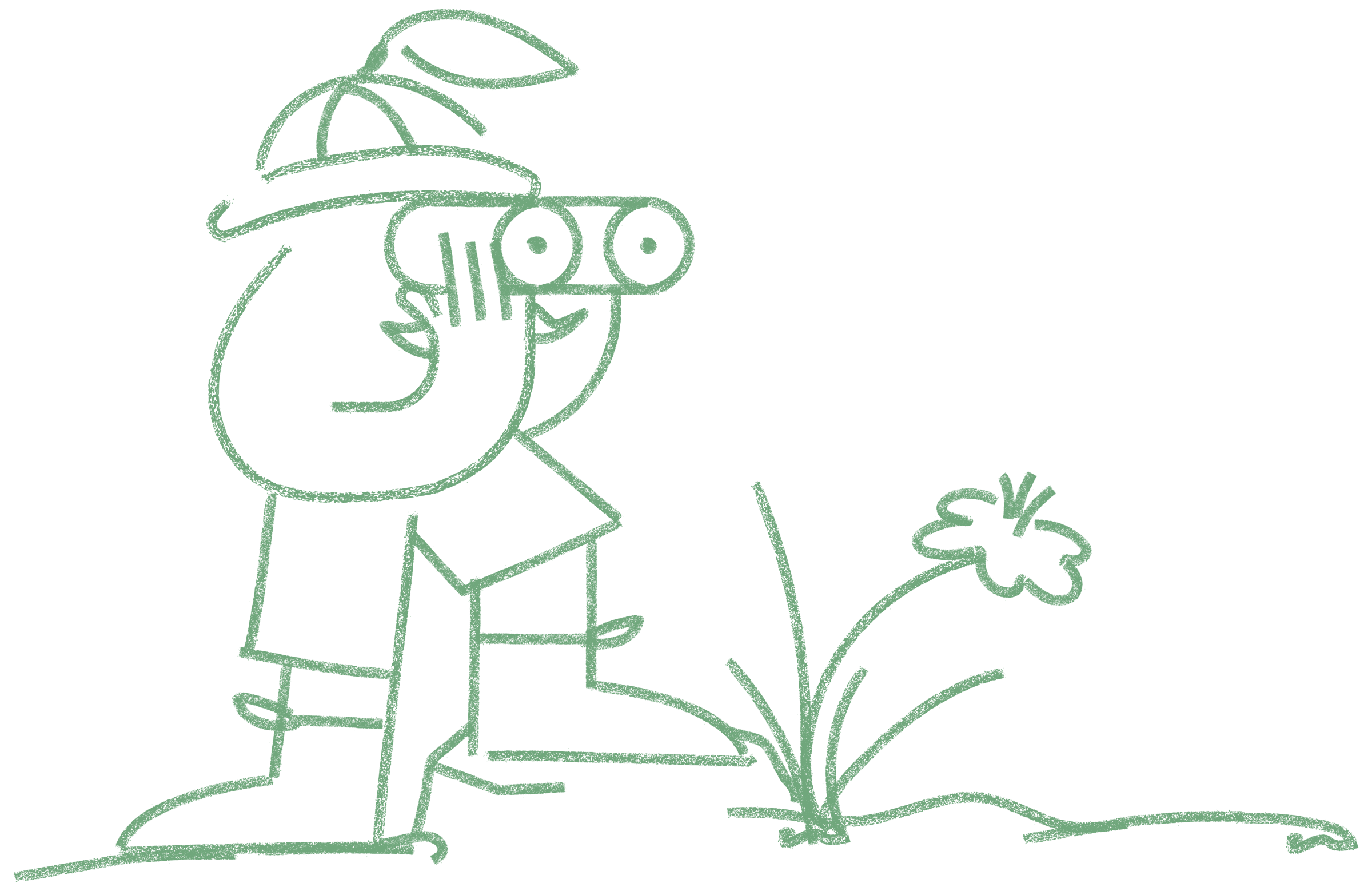 The Curious Lime Explorer