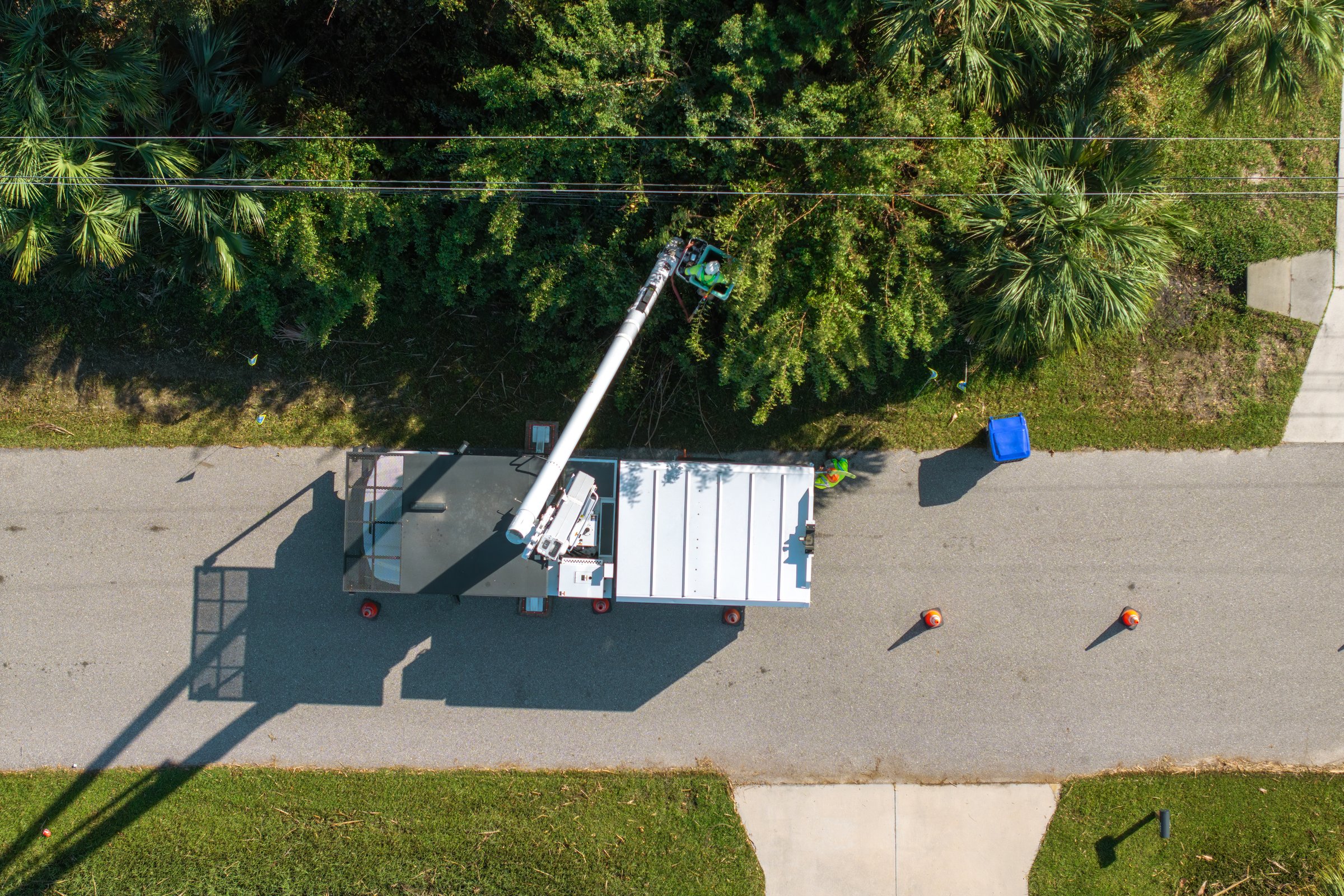 Electricity outage prevention. Electrician worker trimming tree around power lines.